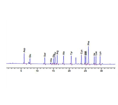 Analysis of 16 kinds of Amino Acids Graph
